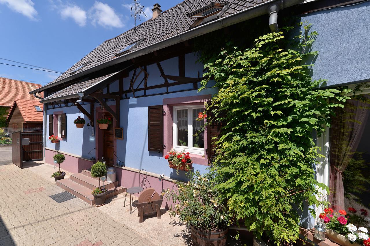 Eden Des Choux Hotel Krautergersheim Buitenkant foto